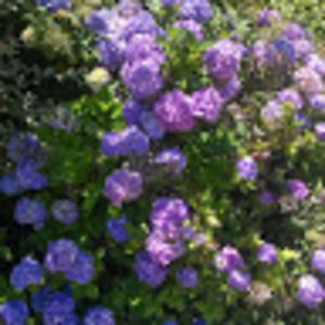 Meet your Posher, Alana